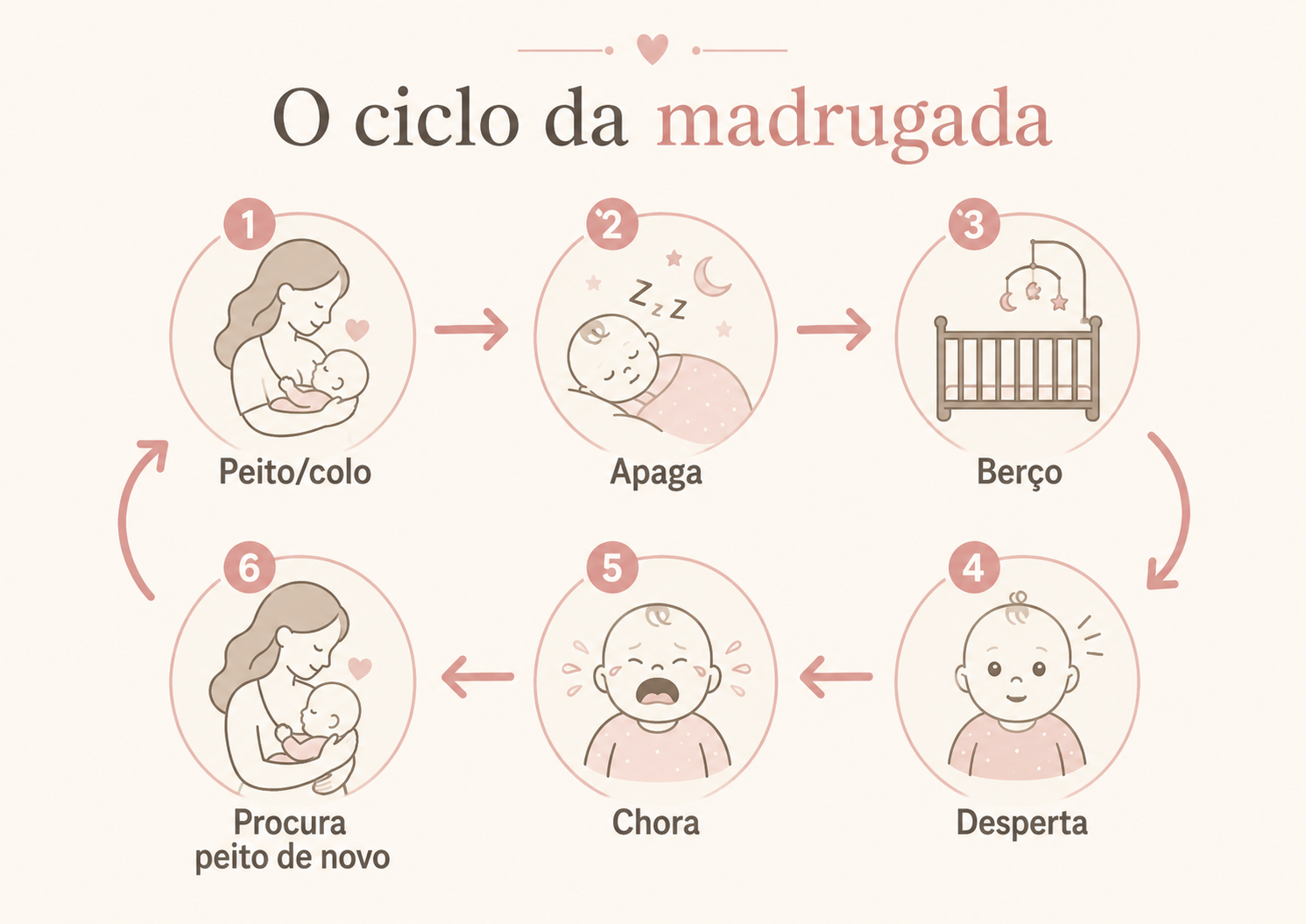 Infográfico mostrando o ciclo da madrugada: peito, colo, apaga, berço, desperta, chora e procura peito de novo